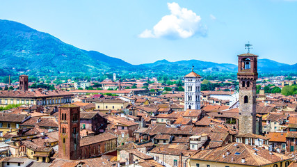 cityscape of Lucca, in Tuscany, Italy - obrazy, fototapety, plakaty