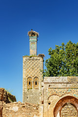Fototapeta premium ancient ruins at rabat with stork nest in morocco