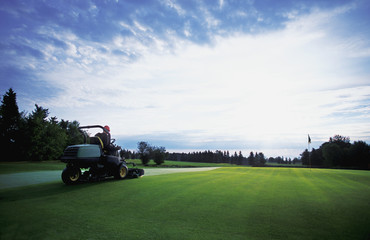 Greenskeeper Mowing Grass