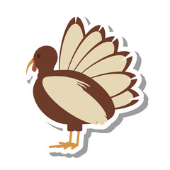 turkey bird thanksgiving icon vector illustration design