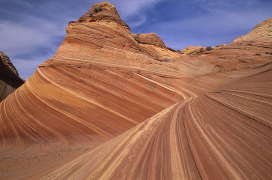 Striations In The Sandstone, Paria Canyon-Vermillion Cliffs Wilderness, Arizona