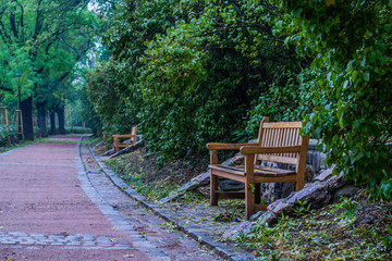 Lonely bench