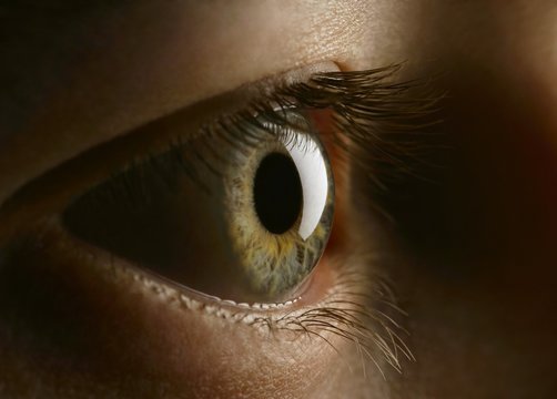 Close Up Of Eye
