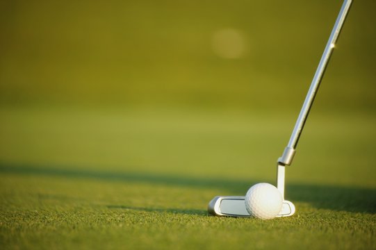 Closeup Of Putter And Ball