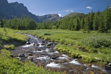 Panorama Ridge, Banff National Park, Banff, Alberta