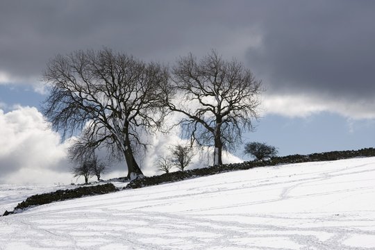 Snowy Field, Weardale, County Durham, England