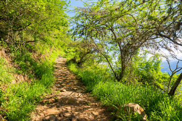 Path Between Barichara and Guane