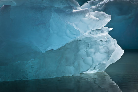 Icebergs From Mcbride Glacier, Muir Inlet, Glacier Bay National Park & Preserve, Southeast Alaska, Summer