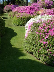 Villa Carlotta at Tremezzo on the Lake Como