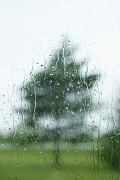 Raindrops On The Window With A Tree Outside; Thunder Bay, Ontario, Canada