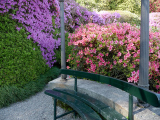 Villa Carlotta at Tremezzo on the Lake Como