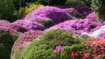Villa Carlotta at Tremezzo on the Lake Como