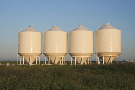 Row Of White Metal Grain Bins, High River, Alberta, Canada