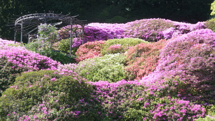 Villa Carlotta at Tremezzo on the Lake Como