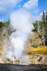 Yellowstone National Park