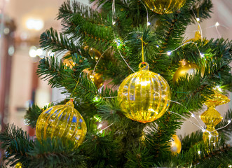 Christmas decorations on the branches of fir tree