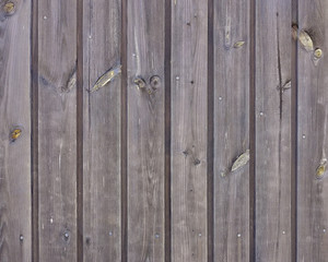 Fototapeta premium brown wood planks full of knobs background