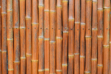 Bamboo