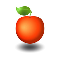 Red apple with shadow vector illustration with realistic gradient effect.