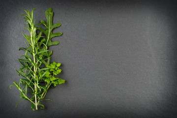 Rosemary, rocket and chervil herbs on slate