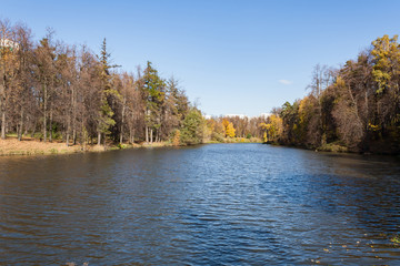 Fototapeta na wymiar Landscape on a city pond in sunny autumn day