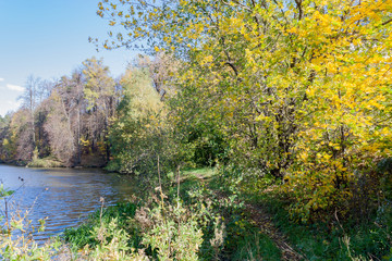 Landscape on a city pond in sunny autumn day
