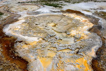 Fototapeta premium Yellowstone National Park