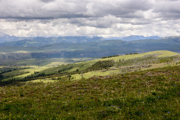 Obraz premium Yellowstone National Park