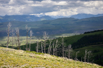 Yellowstone National Park © Zack Frank