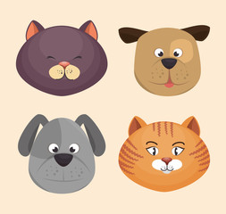 kitten and puppy faces icons design vector illustration