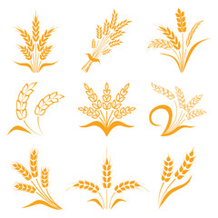 Symbols. for logo design Wheat. Agriculture, corn, barley, stalks, organic plants, bread, food, natural harvest, vector illustration on white background isolated.
