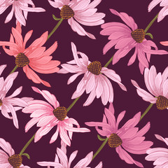 Hand drawn seamless pattern with echinacea flowers - obrazy, fototapety, plakaty