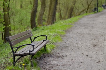 ławka w parku © Violoo