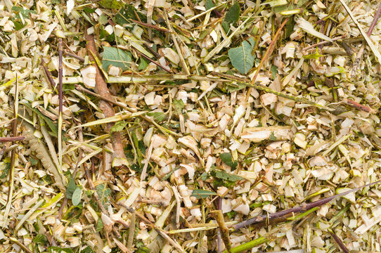 Nat&uuml;rliche Mulchschicht aus Gr&uuml;nschnitt zur Bodenverbesserung im Garten, Gr&uuml;nabf&auml;lle, Gartenarbeit im Herbst, R&uuml;ckschnitt, schreddern, Schnittgut