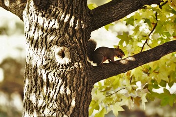 Just storing my dinner