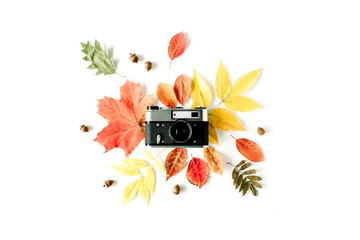 Vintage retro camera and autumn fall floral frame with acorn, maple leaf. Flay lay, top view