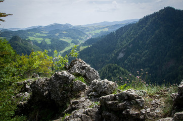 Fototapeta na wymiar widok na góry latem