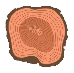 Tree slices vector isolated