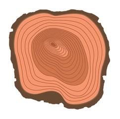 Fototapeta premium Tree slices vector isolated