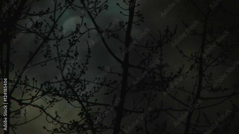 Sticker bright full moon on cloudy night with tree branches in foreground time lapse.