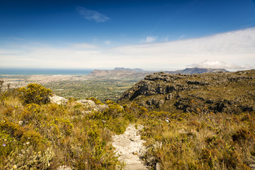Hiking Table Mountain