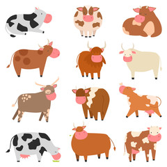 Cartoon cow characters