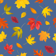 Seamless pattern with autumn leaves. Vector illustration. 