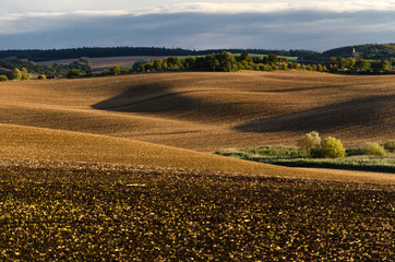 Rolling farmland
