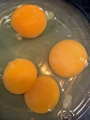 Raw egg with two yolks