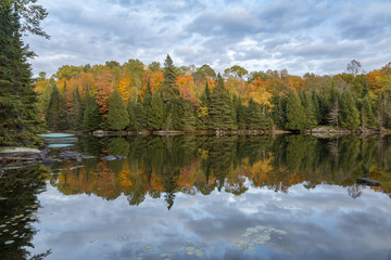 Fototapeta na wymiar Autumn Foliage Reflecting in a Lake - Ontario, Canada