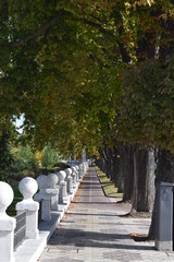 Paseos durante el otoño.