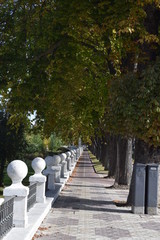 Paseos durante el otoño.