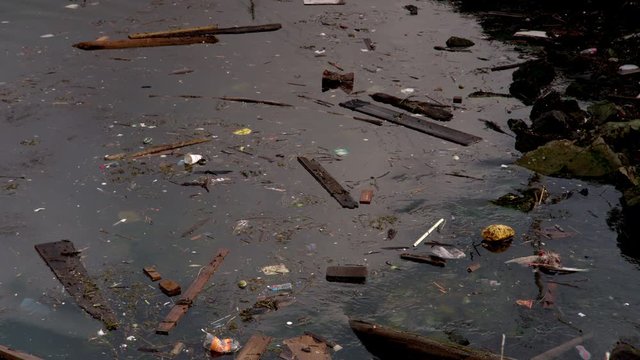 Garbage floating on polluted water
