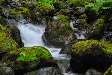 Fototapeta premium stream 2